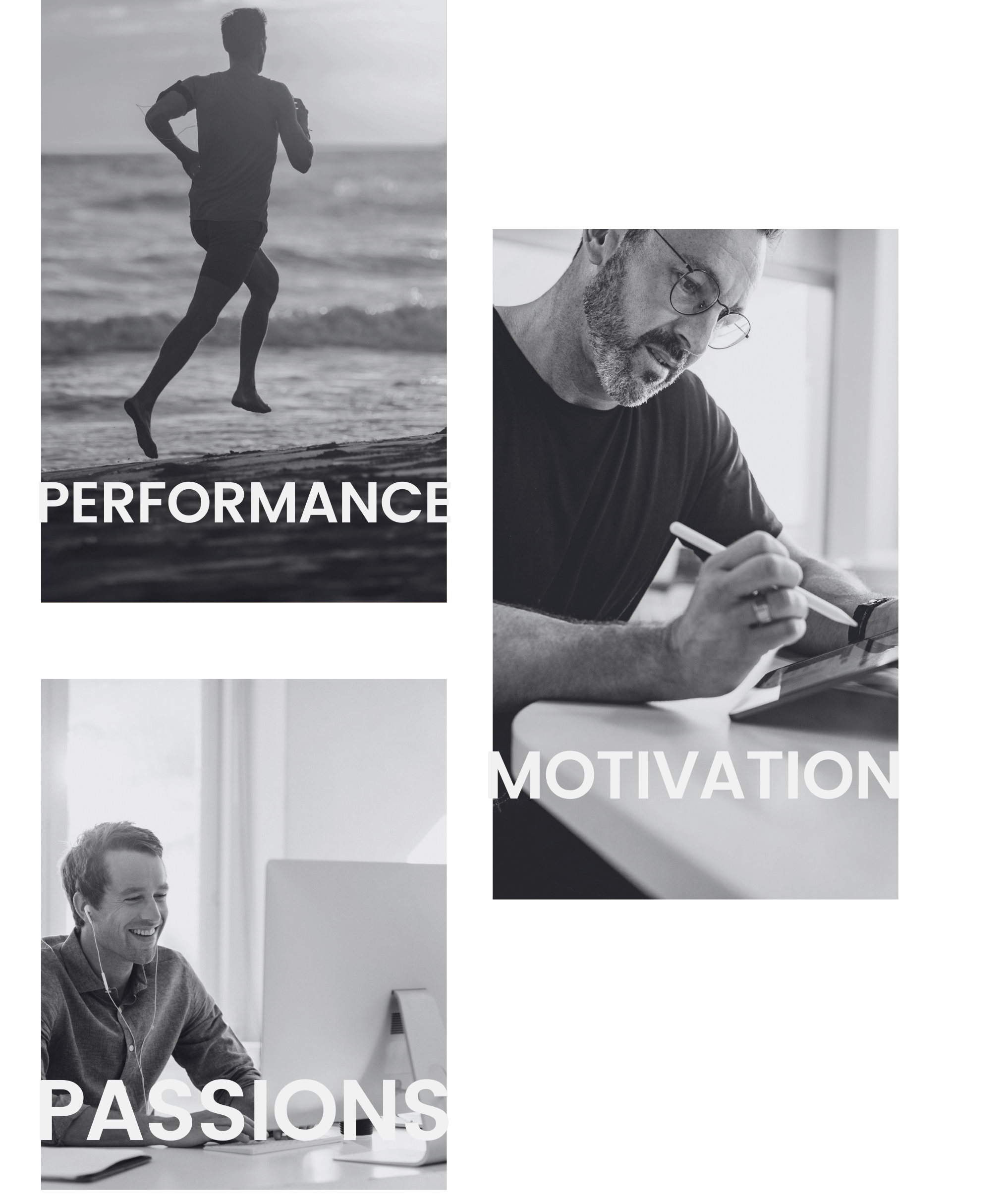 performance, passions, motivation